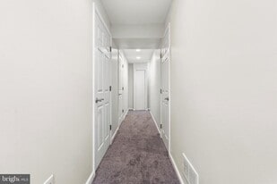 9813 Cottrell Terrace in Silver Spring, MD - Building Photo