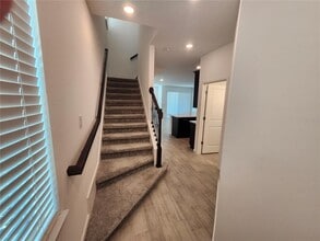 11292 Beach Walk Wy NE in St. Petersburg, FL - Building Photo - Building Photo