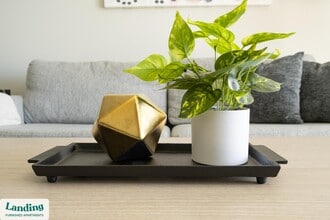 404 W 26th St in Charlotte, NC - Foto de edificio - Building Photo