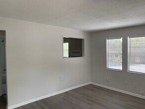 417-419 Richmond St in Dunedin, FL - Building Photo - Building Photo