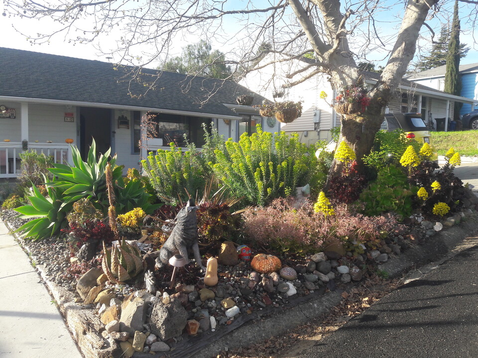 50 La Cruz Ave in Benicia, CA - Foto de edificio