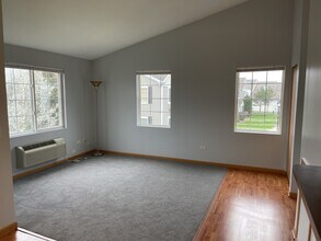 1517 Silverstone Dr in Carpentersville, IL - Building Photo - Building Photo