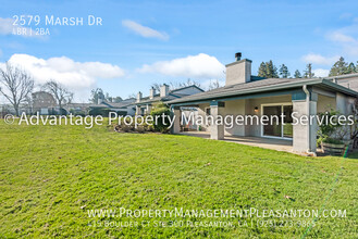 2579 Marsh Dr in San Ramon, CA - Building Photo - Building Photo