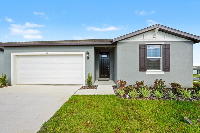 31599 Wild Grape Ln in Brooksville, FL - Building Photo - Building Photo