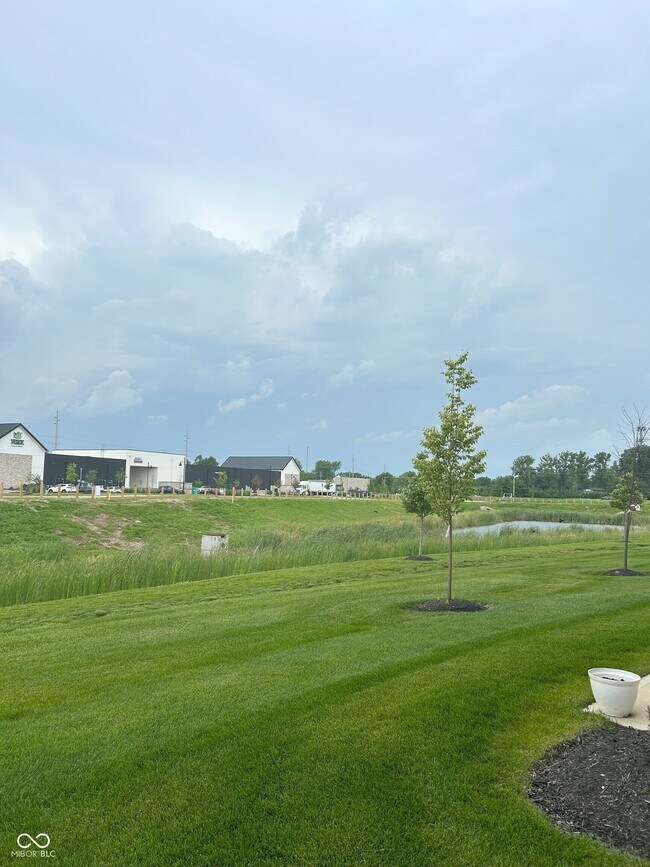 3250 Arabian Ln in Zionsville, IN - Building Photo - Building Photo
