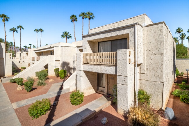Palm Canyon Terrace