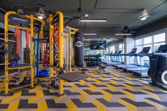 Encore at Forest Park in St. Louis, MO - Building Photo - Interior Photo