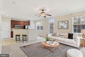 2809 Forest Run Dr in Forestville, MD - Building Photo - Building Photo