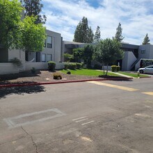 3420 West Danbury Drive in Phoenix, AZ - Building Photo - Building Photo