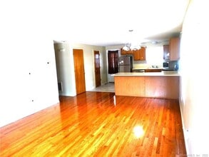 20 Meadowrue Dr in Glastonbury, CT - Building Photo - Building Photo