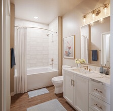 Alexan Lake Olympia in Missouri City, TX - Building Photo - Building Photo