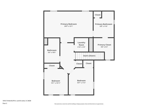 19412 Timberbluff Dr in Land O Lakes, FL - Building Photo - Building Photo
