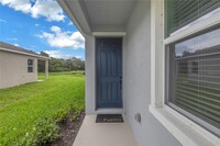 9168 Sandy Bluffs Circle in Parrish, FL - Foto de edificio - Building Photo