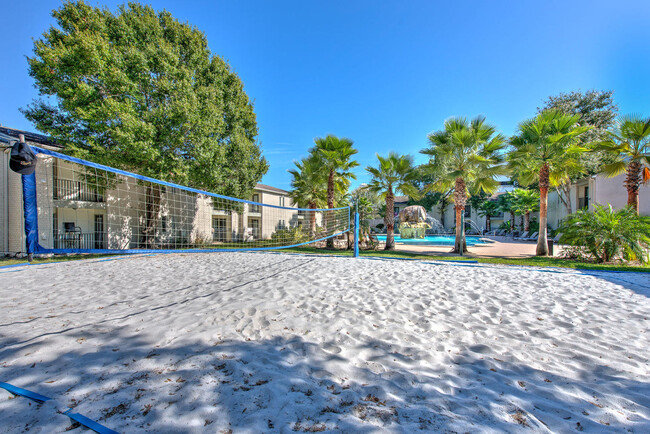 *Campus Palms Apartments- USF STUDENT LIVING* in Tampa, FL - Foto de edificio - Building Photo