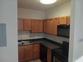 229 W Steins St in St. Louis, MO - Building Photo