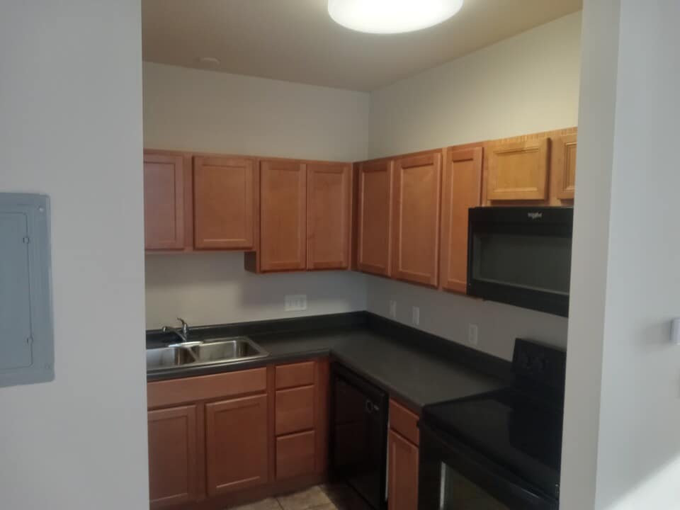 229 W Steins St in St. Louis, MO - Building Photo