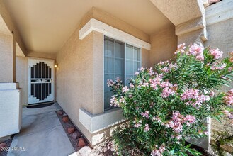 3024 E Blackhawk Dr in Phoenix, AZ - Building Photo - Building Photo