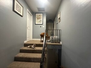 397 W 4th St in El Paso, IL - Building Photo - Building Photo