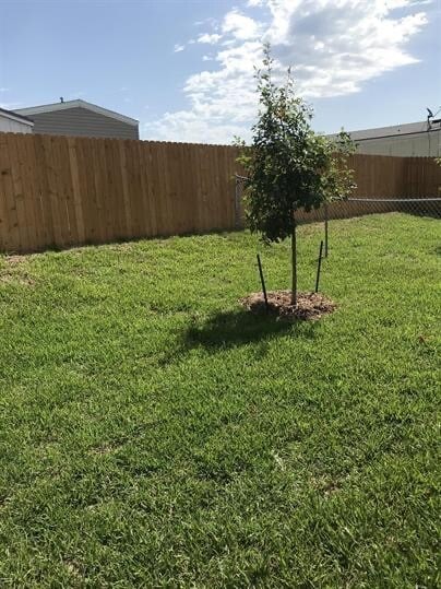 property at 6011 Amelia Earhart Blvd