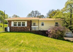 3808 Oakwood Ln in Knoxville, TN - Building Photo