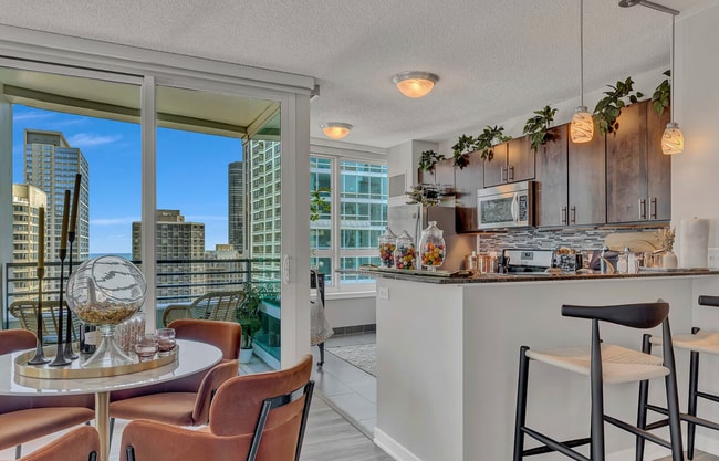 230 E Ontario St in Chicago, IL - Building Photo - Building Photo