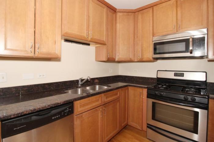 4542 W George St in Chicago, IL - Building Photo
