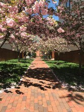 5001 Waple Ln in Alexandria, VA - Building Photo - Building Photo