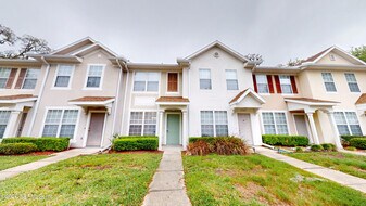 3541 Twisted Tree Ln in Jacksonville, FL - Building Photo