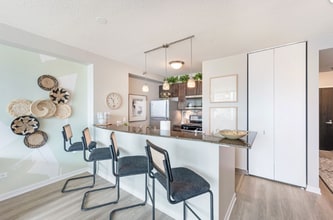 339 E Ohio St in Chicago, IL - Building Photo - Building Photo