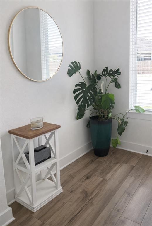 8605 San Giano Cv in Round Rock, TX - Building Photo - Building Photo