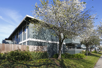 Woodside Park in Salinas, CA - Foto de edificio - Building Photo