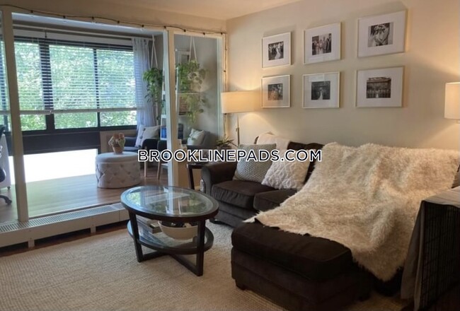 18 Juniper St, Unit 49 in Brookline, MA - Building Photo - Building Photo