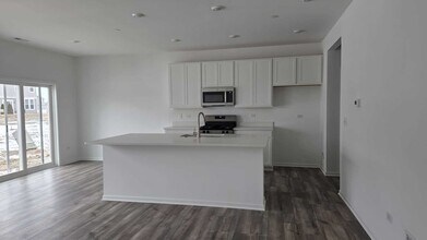 246 Cooney Wy in Oswego, IL - Building Photo - Building Photo