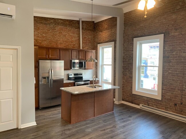295 Lark St in Albany, NY - Building Photo - Building Photo