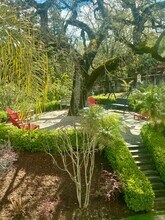 20 Cole Ct in Alamo, CA - Building Photo - Building Photo