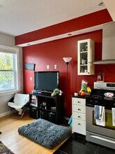 251 Dudley St, Unit 1 in Boston, MA - Building Photo - Building Photo