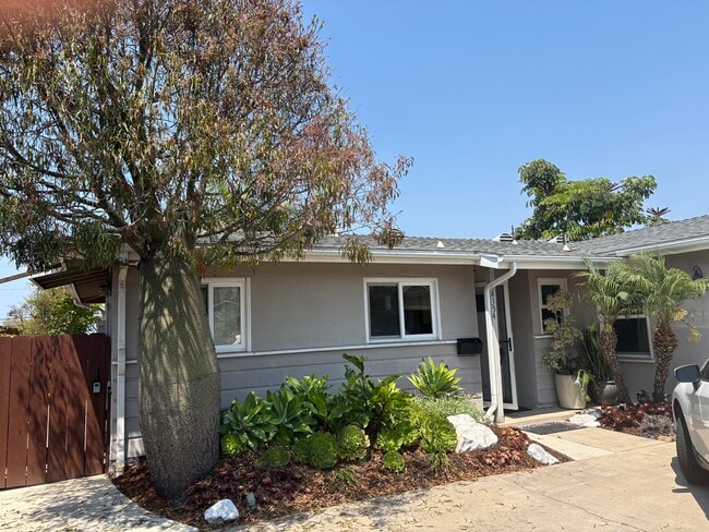 4354 Mount Castle Ave in San Diego, CA - Foto de edificio - Building Photo