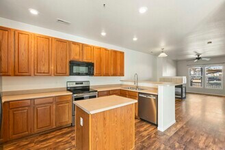 2569 Shannara Grove in Colorado Springs, CO - Building Photo - Building Photo