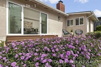 5492 Drover Dr in San Diego, CA - Building Photo - Building Photo