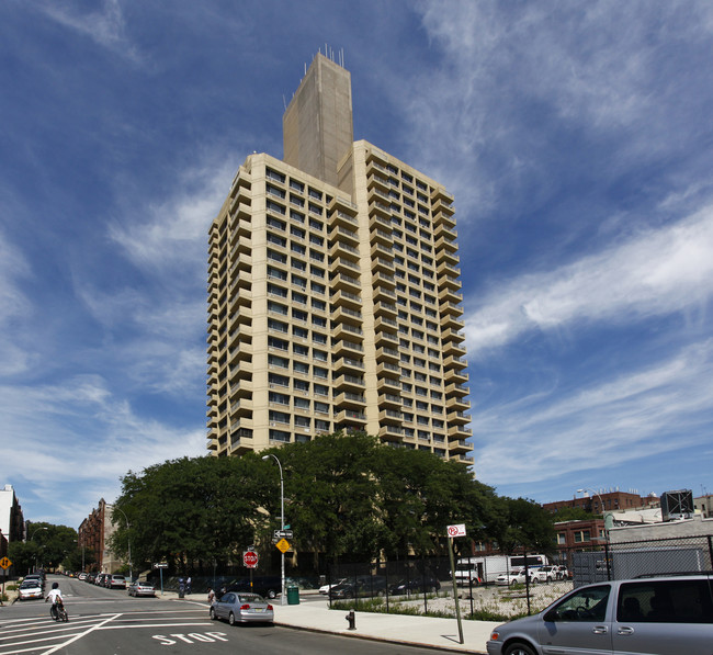 Tivoli Towers in Brooklyn, NY - Building Photo - Building Photo