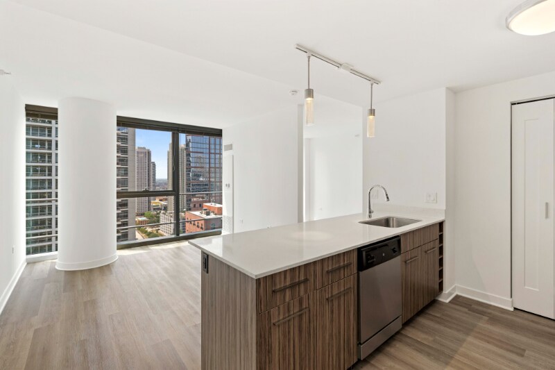 3 W Wolf Point Plaza in Chicago, IL - Building Photo