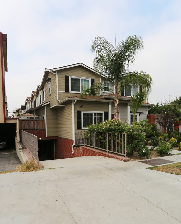 338 Milford St in Glendale, CA - Building Photo