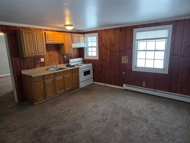 24 N Dansville St, Unit 103 in Cohocton, NY - Building Photo - Building Photo