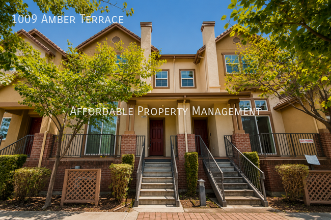 property at 1009 Amber Terrace