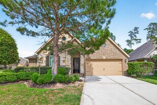 27128 Allenby Park Dr in Magnolia, TX - Building Photo