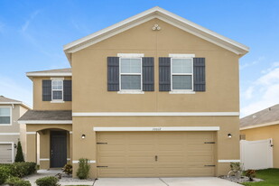 10012 Merry Fawn Ct in Sun City Center, FL - Building Photo