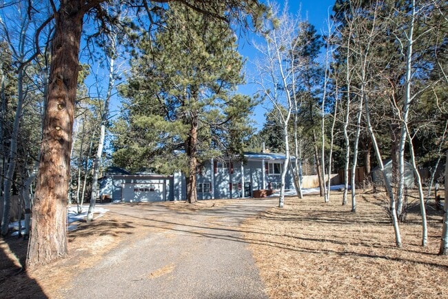 1148 Park View Rd in Woodland Park, CO - Building Photo - Building Photo