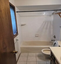1500 Kenyon Dr in Naperville, IL - Building Photo - Building Photo