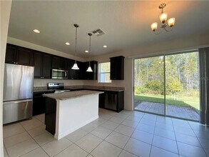 2541 Sedge Grass Wy in Orlando, FL - Building Photo - Building Photo