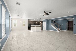11606 Gray Alder Dr in Houston, TX - Building Photo